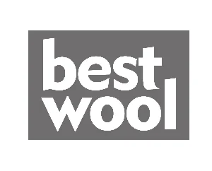 Best Wool Carpets