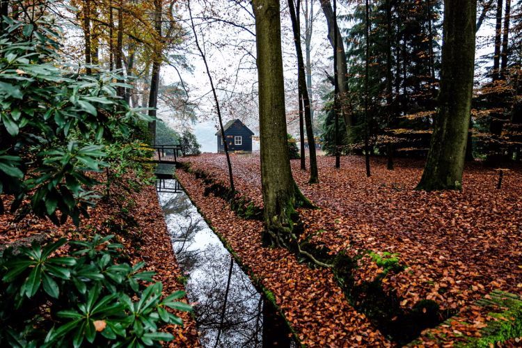 Magisch Spreker Magische Lezing Apeldoorn Gerard du Buf