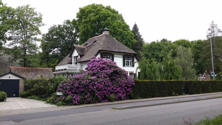 Magisch Spreker Ede Wageningen Magische Lezing Gerard du Buf