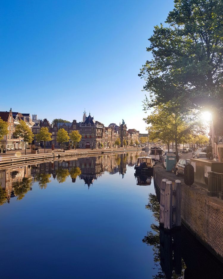 Magisch Spreker Haarlem Magische Lezing Werkgeluk Leiderschap