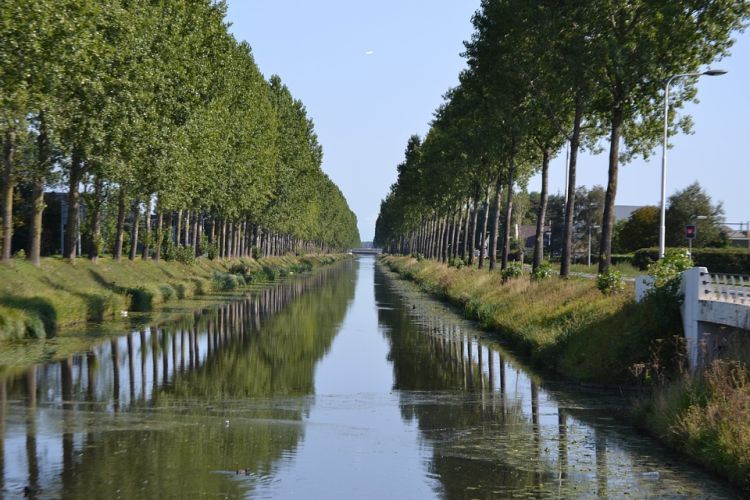 Magisch Spreker Haarlemmermeer Schiphol Magische Lezing